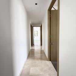 Klimt Cairnhill (D9), Apartment #532251241